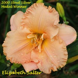 Elizabeth Salter - 2000 Stout Silver Medal Winner
