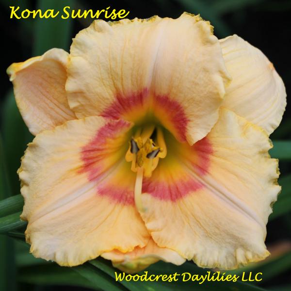 KONA_SUNRISE