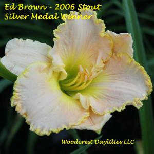 Ed Brown - 2006 Stout Silver Medal Winner