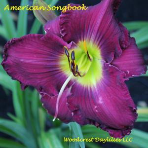 American Songbook*