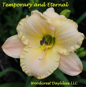 Temporary and Eternal*