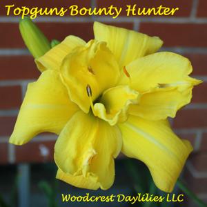 Topguns Bounty Hunter