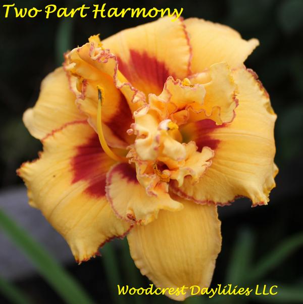 Two_Part_Harmony