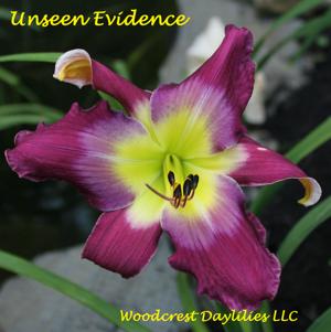 Unseen Evidence