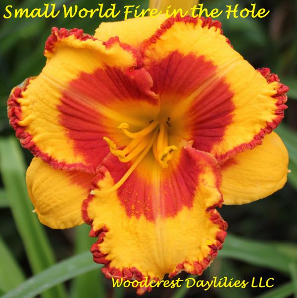 SMALL WORLD FIRE IN THE HOLE