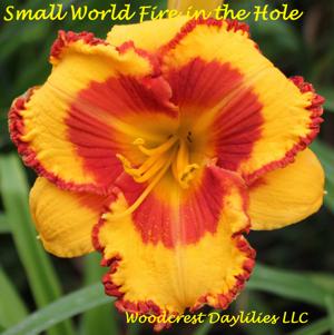 Small World Fire in the Hole*