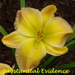 Substantial Evidence