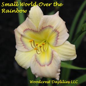 Small World Over the Rainbow