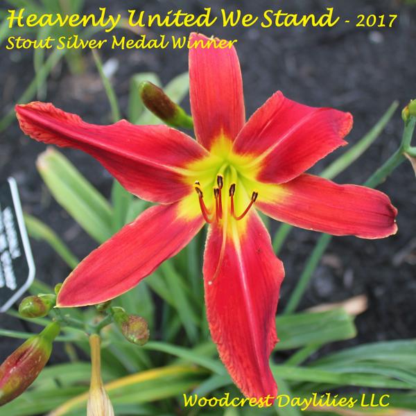 Heavenly_United_We_Stand