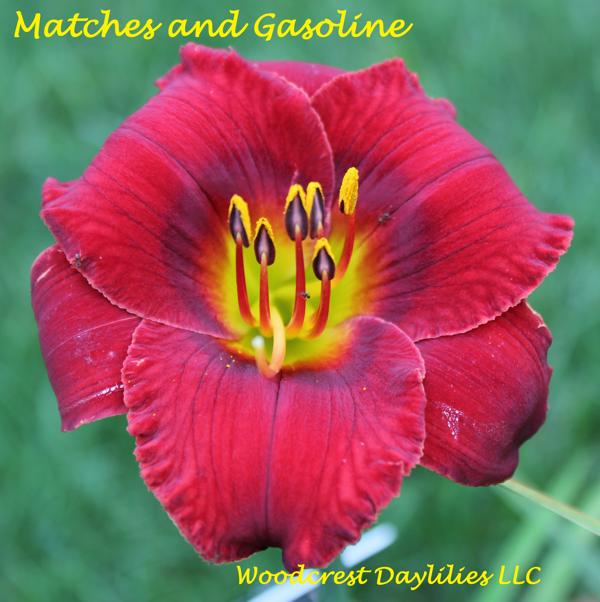Matches and Gasoline