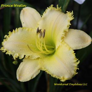 Prince Westin*