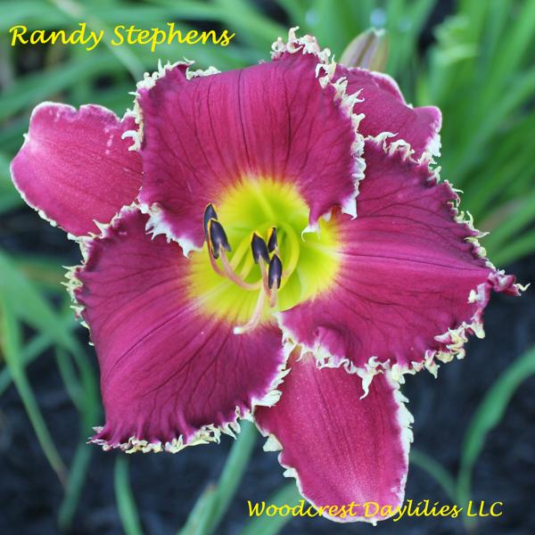 Randy Stephens (3)